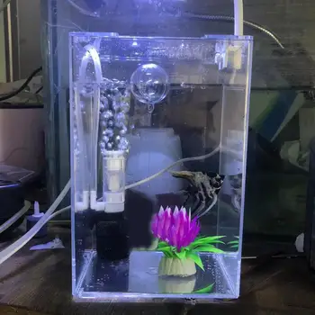 Аквариум Озеленен Аквариум за дома с покритие от прозрачен акрил с бойцовыми рибки Small Micro